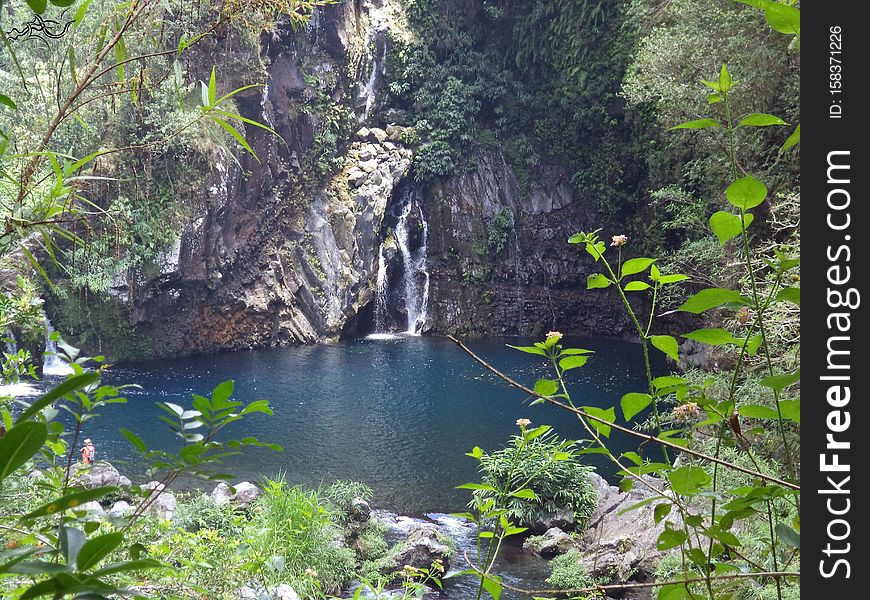 ️ eXploration 🌟 Reunion [La Réunion] &#x28;France&#x29; | 🌌Nature