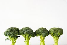 Fresh Sprouting Broccoli Stock Image Fresh Sprouting Broccoli Stock Image
