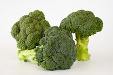 Fresh Sprouting Broccoli Stock Photo Fresh Sprouting Broccoli Stock Photo