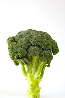 Fresh Sprouting Broccoli Stock Photos Fresh Sprouting Broccoli Stock Photos