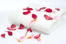 Scattered Flowers Petals On White Towel Stock Image Scattered Flowers Petals On White Towel Stock Image