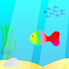 Fishes Swimming In The Sea Stock Photo Fishes Swimming In The Sea Stock Photo