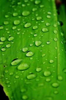 Water Drop Stock Photography Water Drop Stock Photography