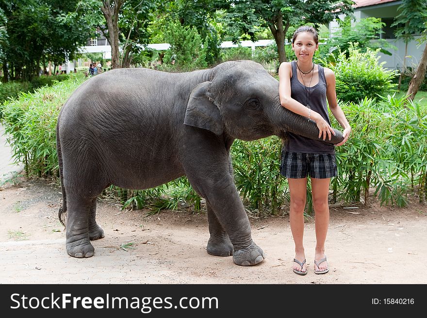 Baby elephant play with female teenager, fun with the young animal