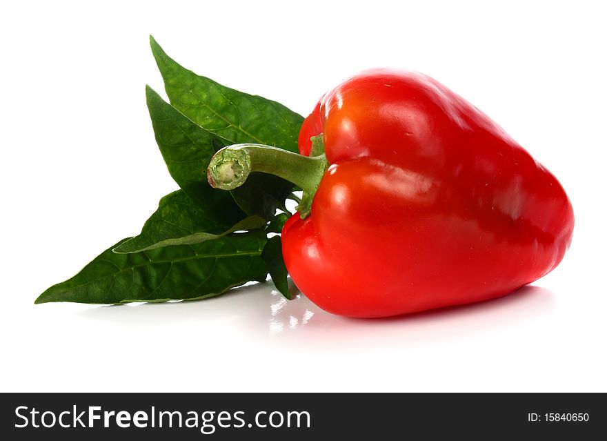 Red pepper and green leaf isolated on white background