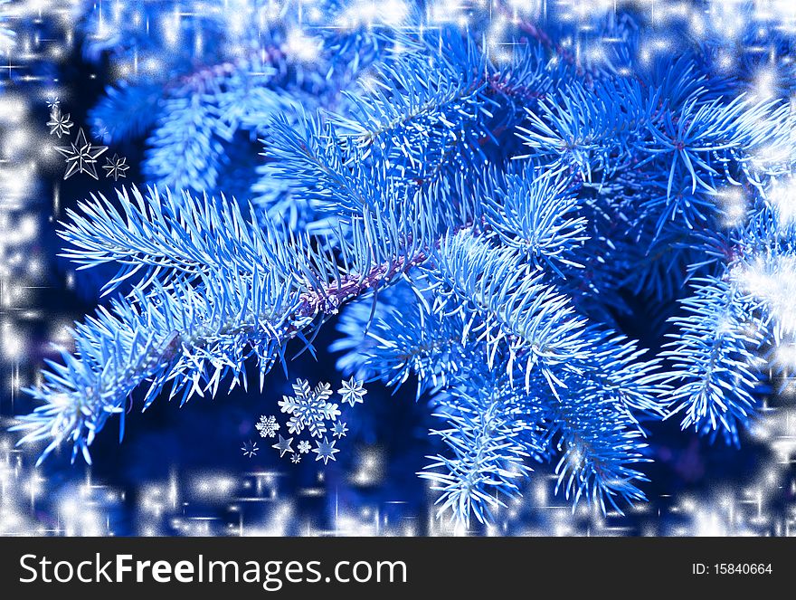 Background with a blue spruce.