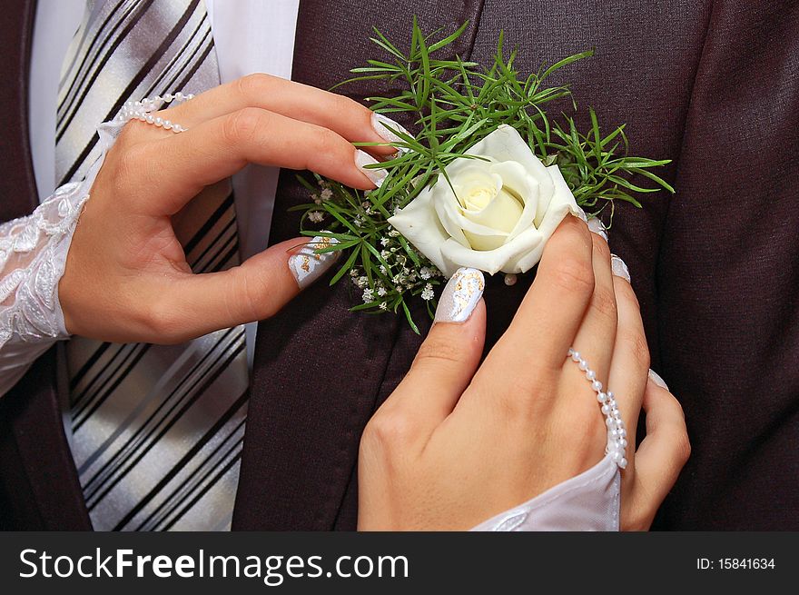 Hands fiancee on the buttonhole of groom