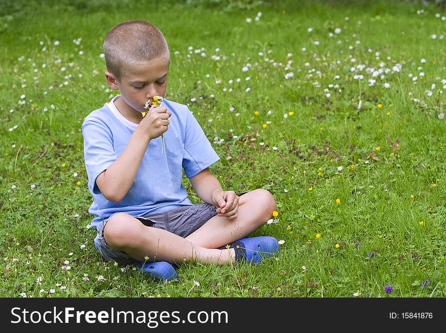 Young Boy Sitting In A Meadow