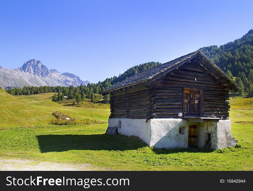 House In The Meadow