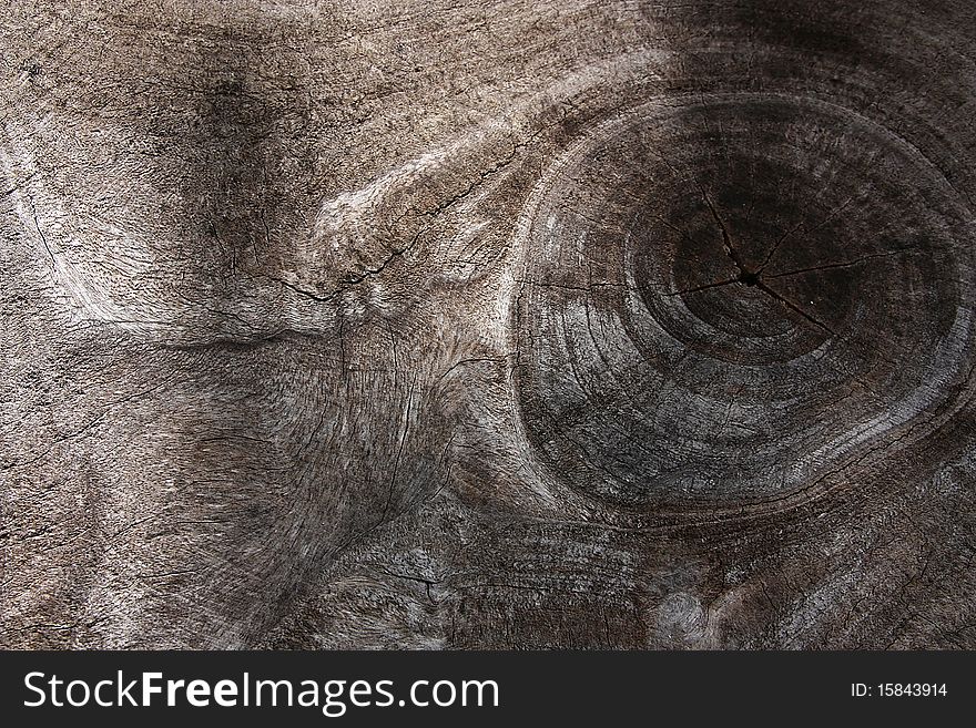 The Eye Of Wood
