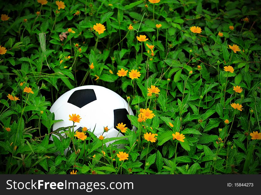 Soccer ball in a flowers field