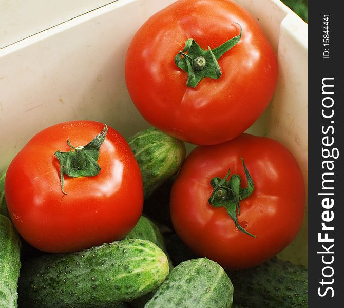 Lavish harvest tomatoes and cucumbers