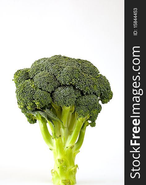 Fresh green sprouting broccoli on the white background. Fresh green sprouting broccoli on the white background