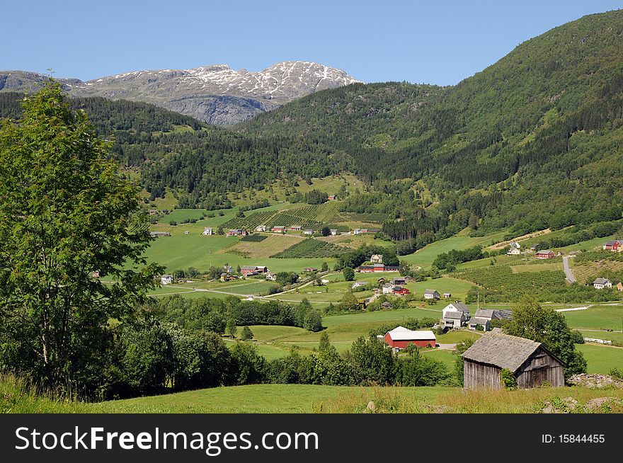 Countryside and fields in Hardangerfjord area of Norway. Countryside and fields in Hardangerfjord area of Norway