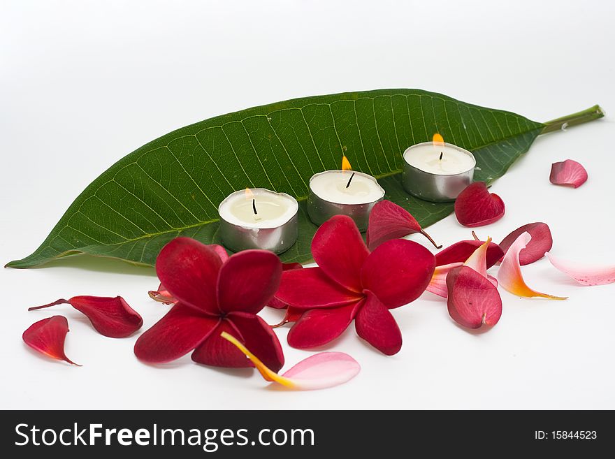 Plumeria flower and candles on the green leaf. Plumeria flower and candles on the green leaf
