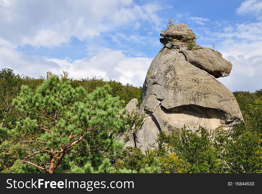 A lonely rock over wood in a summer landscape with the dark blue sky and clouds. A lonely rock over wood in a summer landscape with the dark blue sky and clouds.