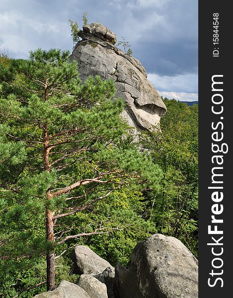 A lonely rock over wood in a summer landscape with the dark blue sky and clouds. A lonely rock over wood in a summer landscape with the dark blue sky and clouds.