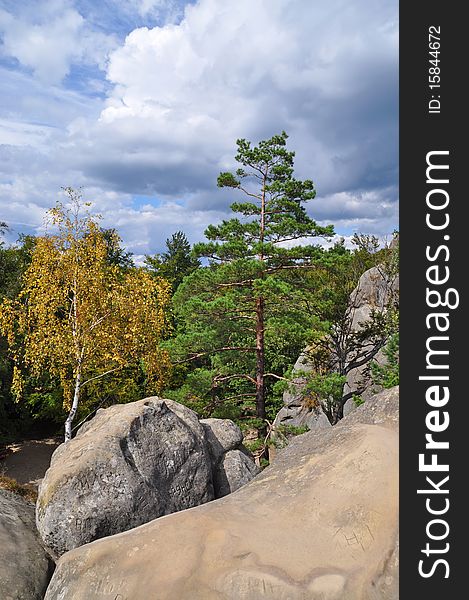 Trees on stones in an autumn mountain landscape under the dark blue sky in clouds