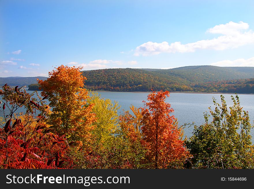 Colorful trees in a state park during autumn time. Colorful trees in a state park during autumn time