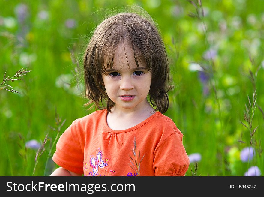 Portrait of a little girl on the summer flower field