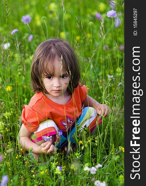 Portrait of a little girl on the summer flower field