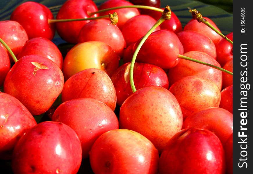 Detail photo of the fresh cherries background