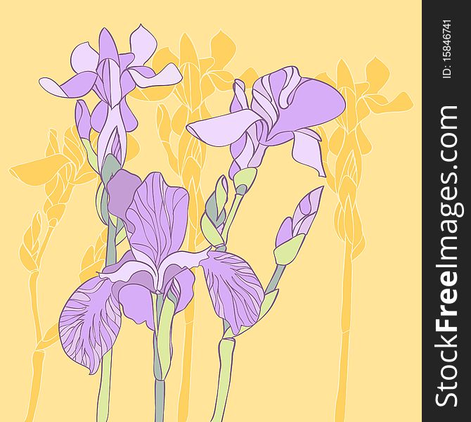 Colored iris flowers on yellow background. Colored iris flowers on yellow background