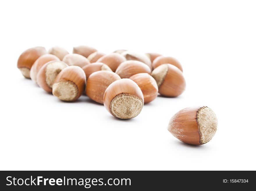 Brown haselnuts isolated on white. Brown haselnuts isolated on white