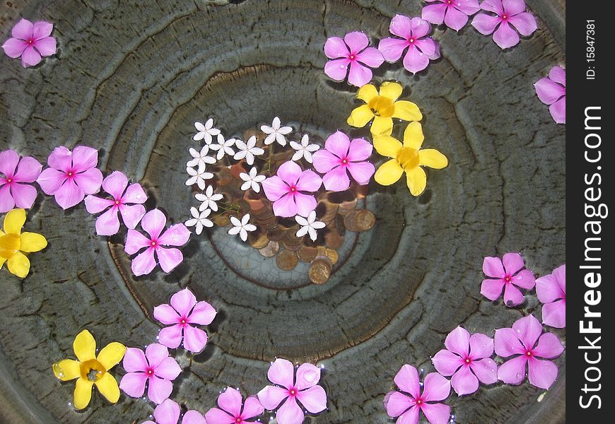 Tropical wishing well in Krabi. Seasonal flowers are floated on the water. Coins sit at the bottom of a clay vanished pot. Shot taken from overhead looking directly down.
