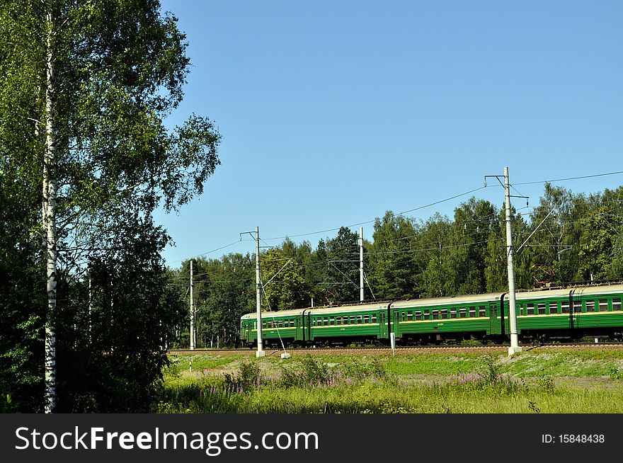Green train rides among the green forest,sunny day