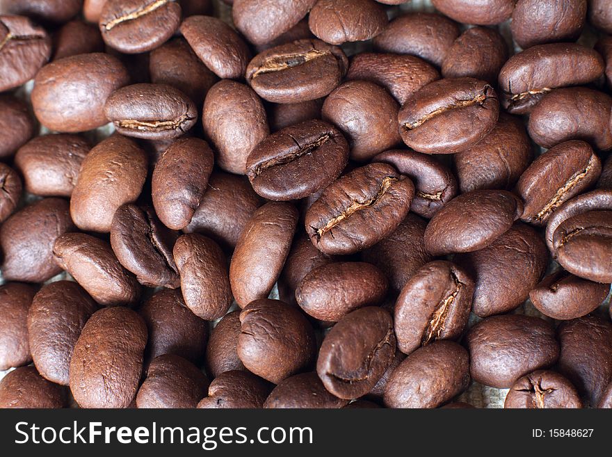 Coffee seeds, macro, natural lighting. Coffee seeds, macro, natural lighting