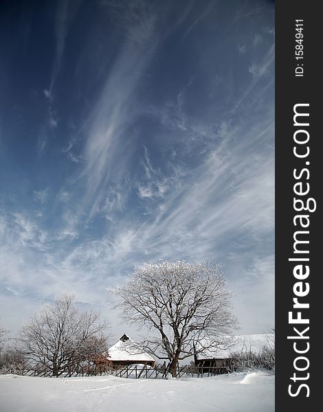 Picture of landscape with typical estonian winter scene. Picture of landscape with typical estonian winter scene