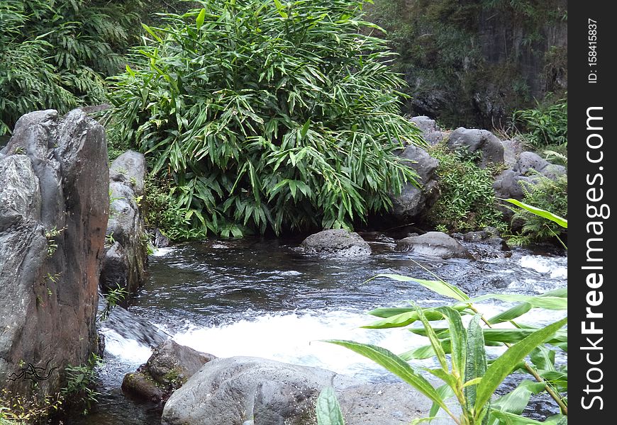 Réunion &#x28;French : La Réunion, previously Île Bourbon&#x29; is an island and region of France in the Indian Ocean, east of Madagascar and 175 kilometres &#x28;109 mi&#x29; southwest of Mauritius. As of January 2016, it had a population of 842 767. It is the most prosperous island in the Indian Ocean, having the highest GDP per capita in the region. The island has been inhabited since the 17th century, when people from France, Madagascar and Africa settled there. Slavery was abolished on 20 December 1848 &#x28;a date celebrated yearly on the island&#x29;, after which indentured workers were brought from Tamil Nadu, Southern India, among other places. The island became an overseas department of France in 1946. As elsewhere in France, the official language is French. In addition, the majority of the region&#x27;s population speaks Réunion Creole. Administratively, Réunion is one of the overseas departments of France. Like the other four overseas departments, it is also one of the 18 regions of France, with the modified status of overseas region, and an integral part of the Republic with the same status as Metropolitan France. Réunion is an outermost region of the European Union and, as an overseas department of France, part of the Eurozone. 👑 Senses : 👀 Vision 👆 To Touch 💃 Proprioception 👂 Hearing Equilibrioception 👃 Smell ♨️ Thermoception 👅 Taste ⚡ Intelligences : ️ Spatial Intelligence ⛹️ Kinesthetic Body Intelligence 👨‍👩‍👧‍👦 Interpersonal Intelligence 🌲 Ecologicalist Naturalist Intelligence ️ Verbal-linguistic 🔭 Existential Intelligence 📋 WHAT : ️ eXploration 🌟 Reunion [La Réunion] &#x28;France&#x29; | 🌌Nature 🌟 Reunion [La Réunion] &#x28;France&#x29; 💫 France/Europe World 🌌 Nature Galaxy ✨ eXploration Universe &#x28;️&#x29; 📝 Type : Ground eXploration 🎨 Style : eXploration of La Réunion 🔊 Language : International &#x28;🇬🇧 description in English, but comprehensible by the whole world&#x29; ️ You can use your playlists as filters, to find what you&#x27;re looking for exactly : www.youtube.com/channel/UCpvj7oecmX3AsJT6R0JP2pQ/playlists? ⚠ The items are sorted by the most appropriate categories. But can not be completely exhaustive on social networks. You can use our site or our application. If you want total exhaustiveness and much more. 📏 HOW MUCH : 👑 8 Senses ⚡ 6 Intelligences WHO : ️ Picture by LG &#x28;Samsung Galaxy S7&#x29; 📡 Posted by LG 📼 Video made by LG &#x28;Windows Movie Maker 2017&#x29; © Etoile Copyright ⚠ The description may no longer be up to date. Due to human discoveries and improvements. Pay attention to the date of publication and creation. Even works of art suffer the outrages of time ❓ WHY : To eXplore La Réunion 📍 WHERE : La Réunion &#x28;🇫🇷 France&#x29; 🕓 WHEN : July 2014 👉 Follow us : 💥 Facebook : www.facebook.com/EXploration-160662074522859/ 💥 Instagram : www.instagram.com/explorationetoile/ 💥 Flickr : www.flickr.com/people/explorationetoile/ 💥 Dailymotion : www.dailymotion.com/explorationetoile 💥 Youtube : www.youtube.com/channel/UCpvj7oecmX3AsJT6R0JP2pQ? 💥 Tumblr : explorationetoile.tumblr.com/ 💥 Pinterest : www.pinterest.fr/eXplorationEtoile/ 💥 Google + : plus.google.com/u/0/b/103663921505133236472/1036639215051... 💥 Twitter : twitter.com/eXplorationETL 💌 Contact :