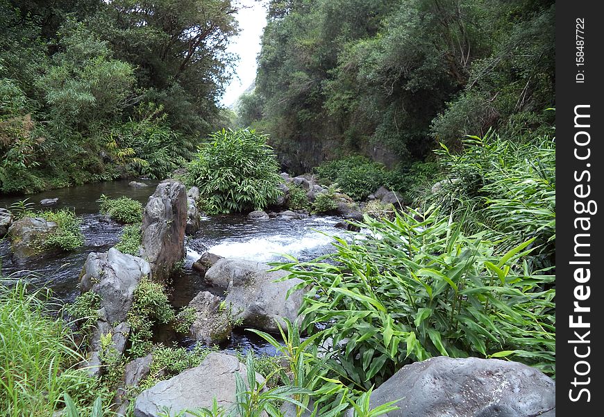 ️ eXploration 🌟 Reunion [La Réunion] &#x28;France&#x29; | 🌌Nature