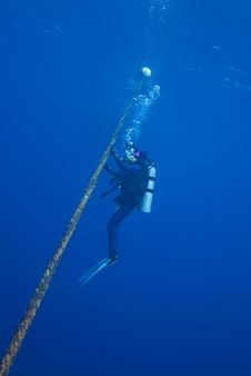 Diving The Great Barrier Royalty Free Stock Images Diving The Great Barrier Royalty Free Stock Images