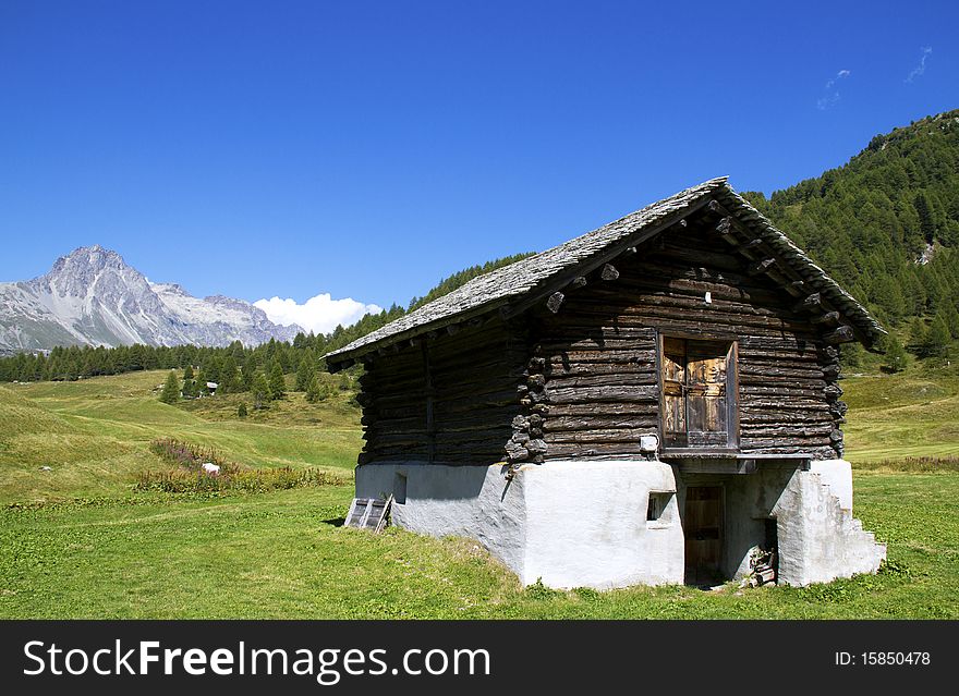 House in the meadow