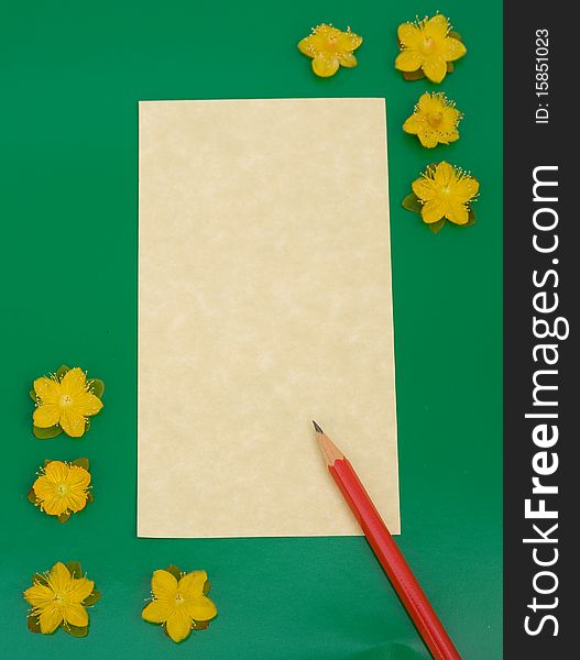 An image of parchment paper with a red pencil placed on it and with a green border with some small yellow flowers. An image of parchment paper with a red pencil placed on it and with a green border with some small yellow flowers.