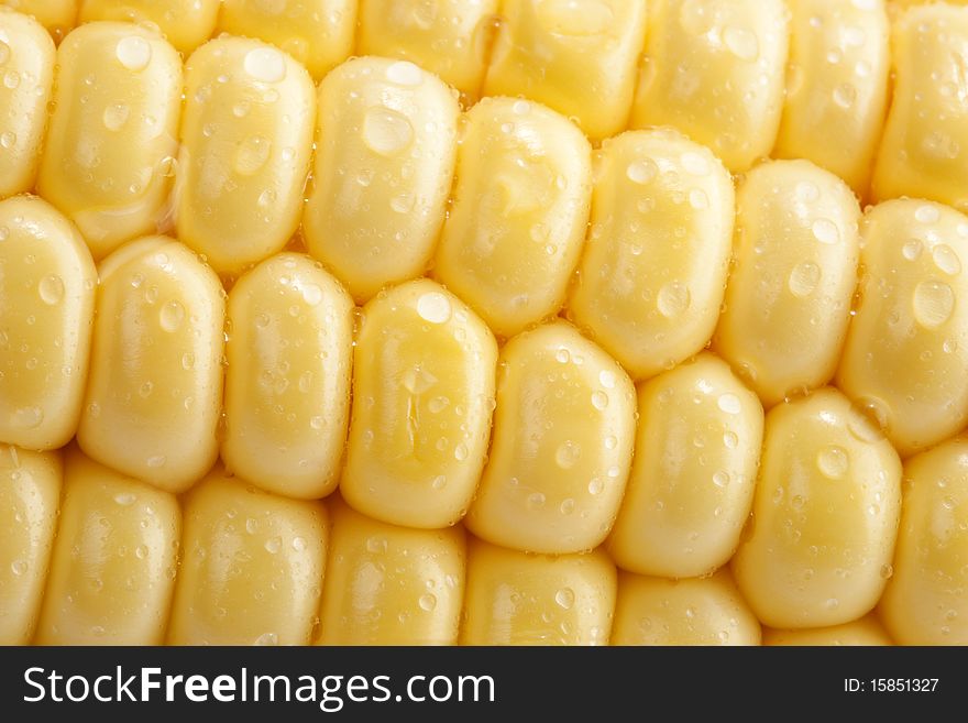 Macro of fresh corn ear