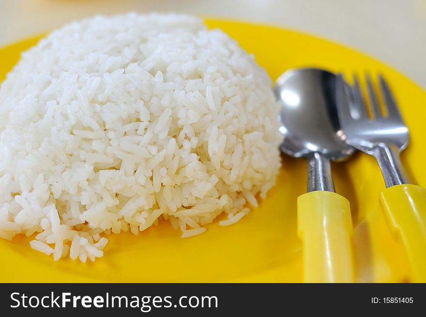 Mealtime with white rice