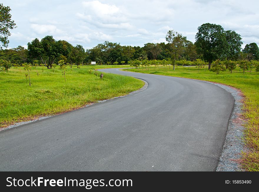 The road in big garden