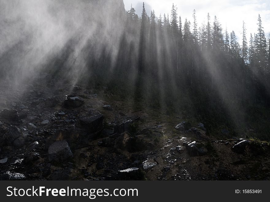 Morning sun rays bursting through the forest beside a waterfall. Morning sun rays bursting through the forest beside a waterfall.