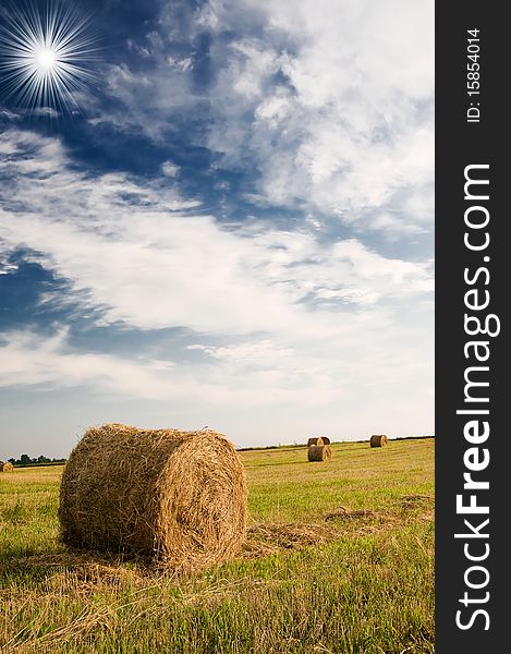 Field with bales against tender sun in the blue sky. Field with bales against tender sun in the blue sky.