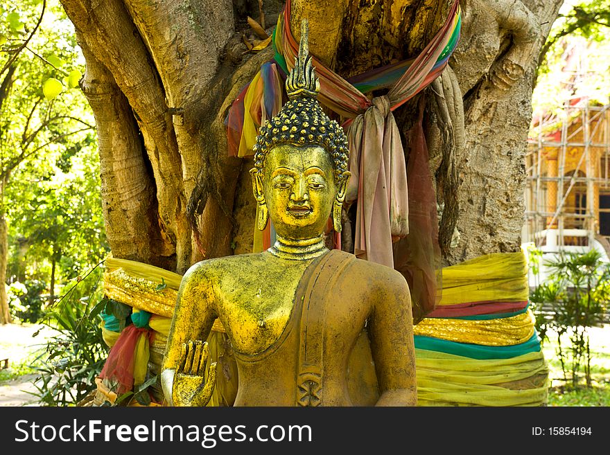 Budda statue in jedyod temple chiangmai thailand