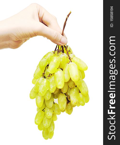 Bunch of a yellow grapes in hand of the woman