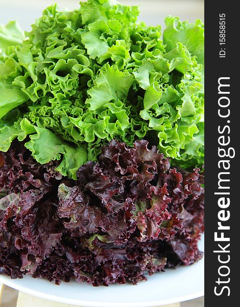 Green leaf lettuce on a plate of two types. Green leaf lettuce on a plate of two types