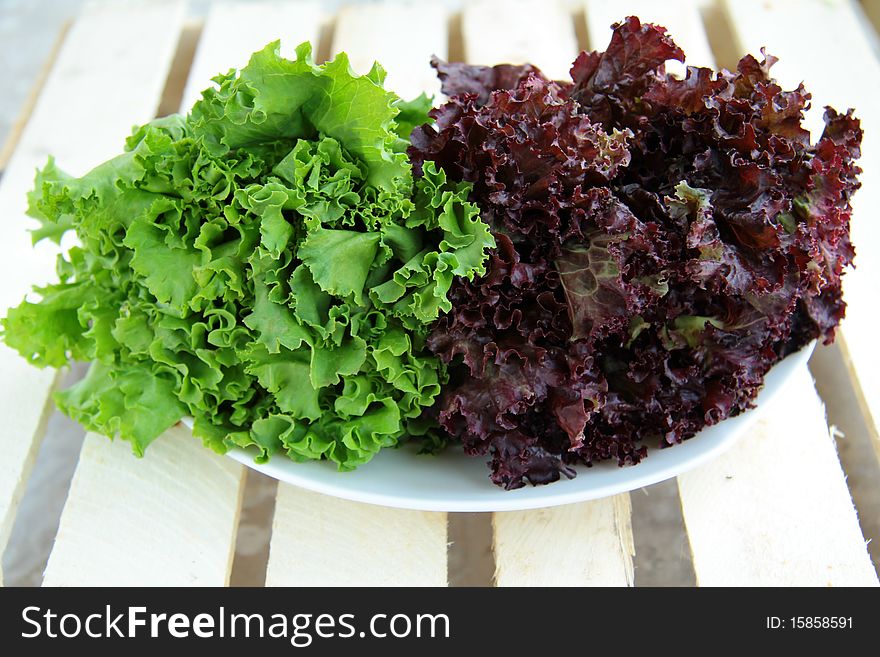 Green leaf lettuce on a plate of two types. Green leaf lettuce on a plate of two types