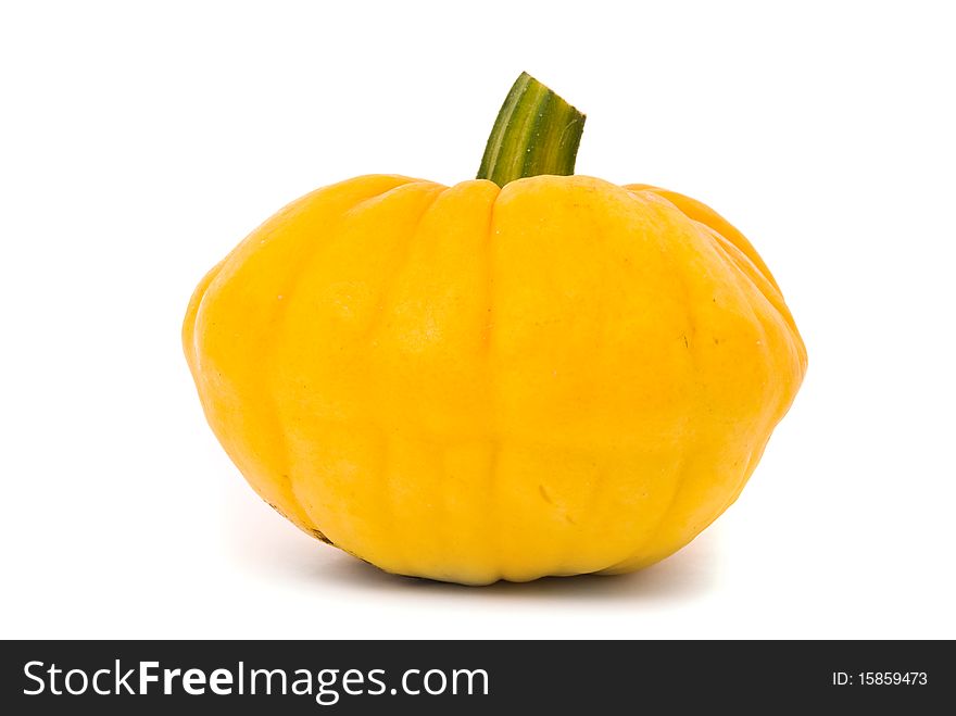 Marrow on a white studio background