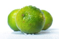 Limes Stock Images