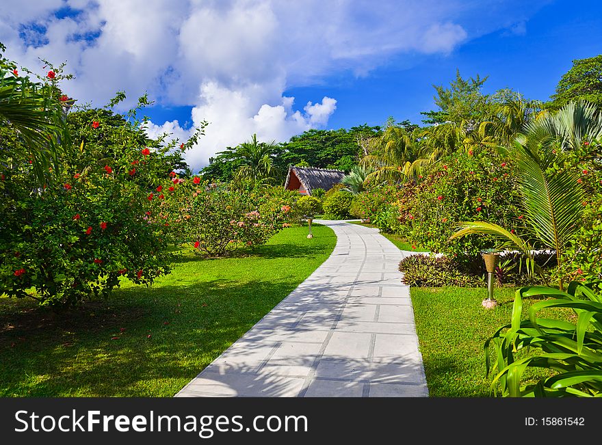 Pathway in tropical park - abstract travel background
