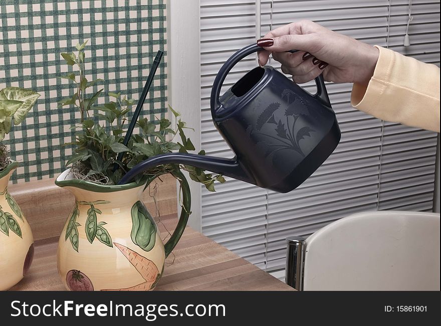 Woman watering potted flowers in kitchen of home. Woman watering potted flowers in kitchen of home